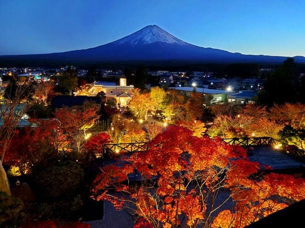 【東京都内発※町田を除く】 「シャインマスカット1籠詰め放題(約1kg)」と 紅葉ライトアップ&ふじさんデッキと甲州ぶどう狩り食べ放題3